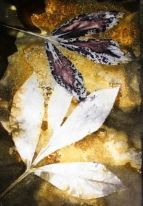 eco print paper