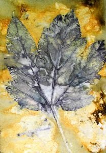 eco print paper