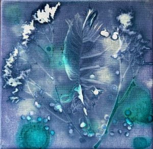 cianotipija plunksna